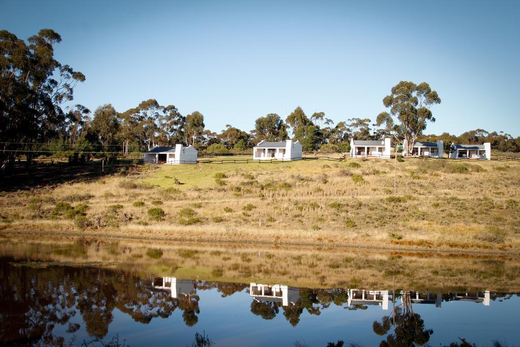 Villa Kweekkraal Guest Farm Riversdale Exterior foto